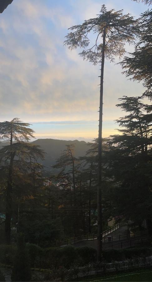The Edgeworth Bed and Breakfast Shimla Exteriör bild